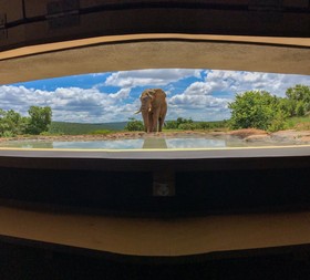 Laluka Safari Lodge