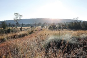 Zulu Camp Shambala Game Reserve