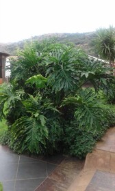 Amandahill Guest House