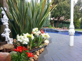 Araluen Cottage