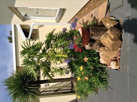 Araluen Cottage