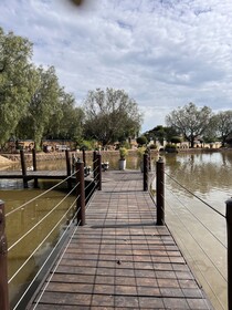 Swan Lake Suites