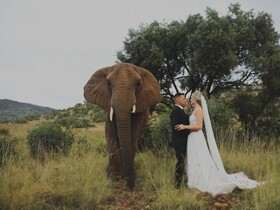 Glen Afric Country Lodge