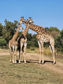 Glen Afric Country Lodge