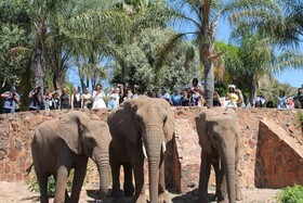 Glen Afric Country Lodge