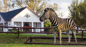Zulu Nyala Country Manor