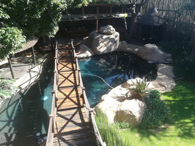 Ikamu’s Lodge