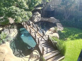 Ikamu’s Lodge