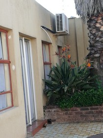 Naisar Holiday Home & Cottage Primrose