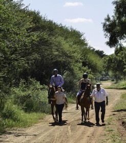 Sun International Carousel