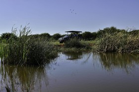 Sun International Carousel