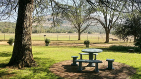 B'sorah Luxury Tented Camp