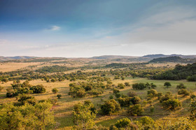 B'sorah Luxury Tented Camp