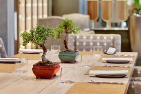 African Pride Melrose Arch Hotel