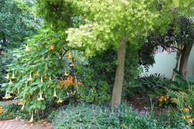 Blackheath Manor Guest House