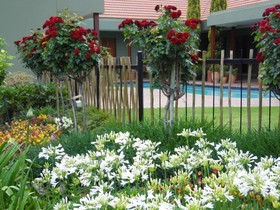 Blackheath Manor Guest House