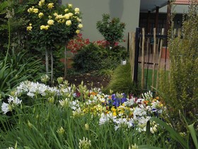 Blackheath Manor Guest House