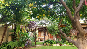 Citrus Lane Guesthouse