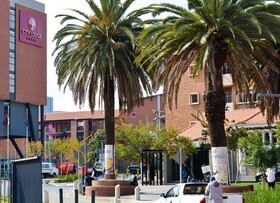 City Lodge Hotel Newtown, Johannesburg