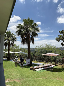 Daze House