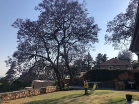Houghton Hill Cottage