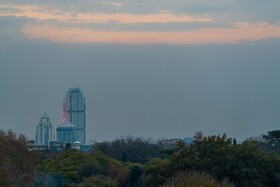 Radisson RED Johannesburg Rosebank
