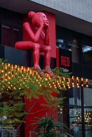 Radisson RED Johannesburg Rosebank