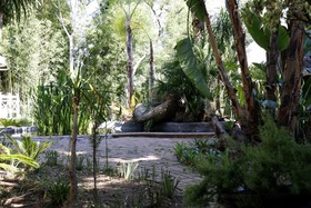 Summerview Guest Lodge