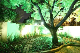 Wilde Cottage On Elder