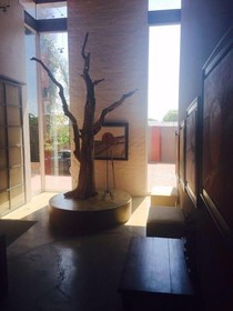 African Moon Corporate Guest House