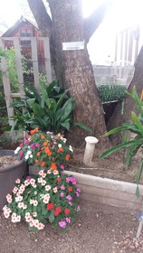 Allen Grove Self Catering