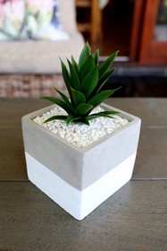 Morulana Guest House