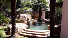 Sugar Rose Guesthouse - Kempton Park B&B