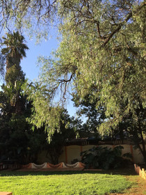 Tshepa Guesthouse