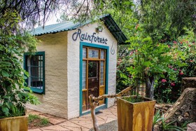 Rain Forest Boutique Camp