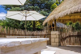 Rain Forest Boutique Camp