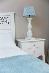 African Penguin Guesthouse & Conference