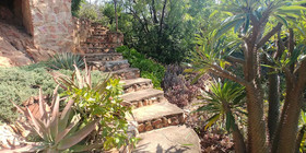 Aloe Guesthouse Pretoria