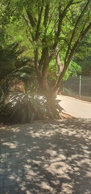 Anopam Guest House