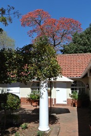 Brooklyn Manor Guesthouse