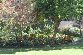 Brooklyn Manor Guesthouse