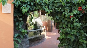 Dinkwe Lodge & Guest House