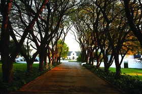 Kievits Kroon Country Estate & Spa