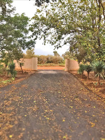 Silver Fig Guesthouse