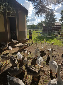 Stoneybrooke Farm