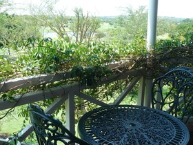 The Woodpecker Inn