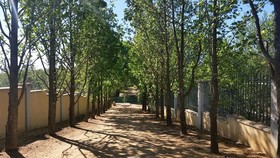 Amberhall Guesthouse
