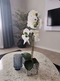 MINT Apartments Greenside