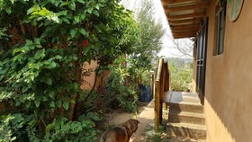 Offgrid Farm