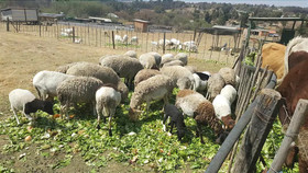 Offgrid Farm